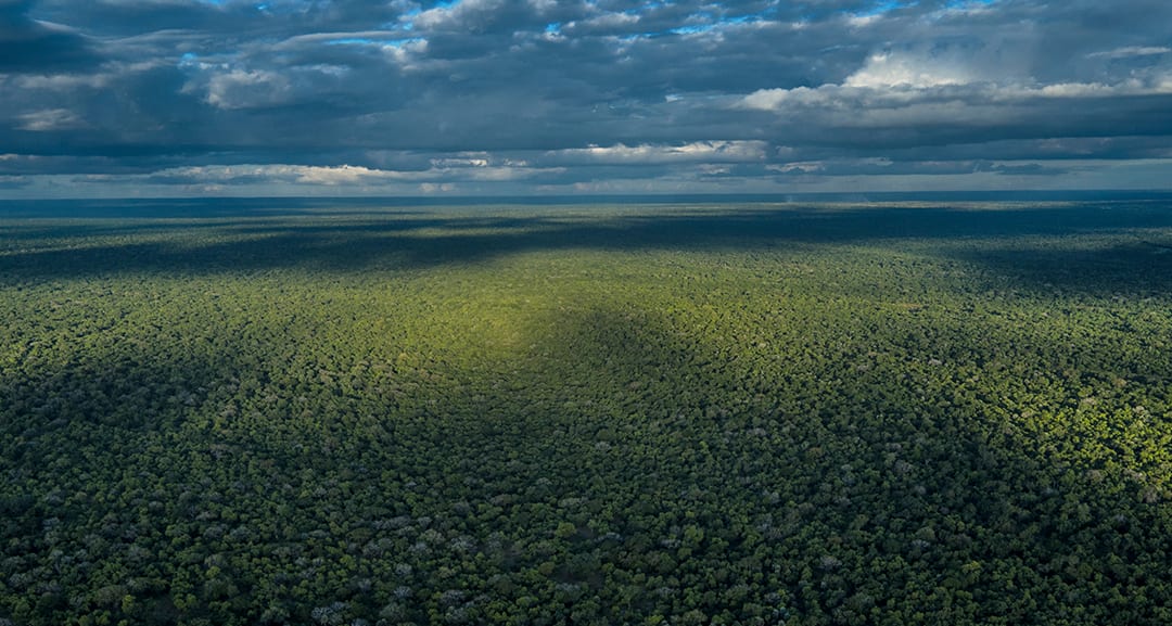 Gorongosa National Park Turns 60