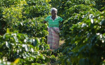 Securing families across the Gorongosa landscape.