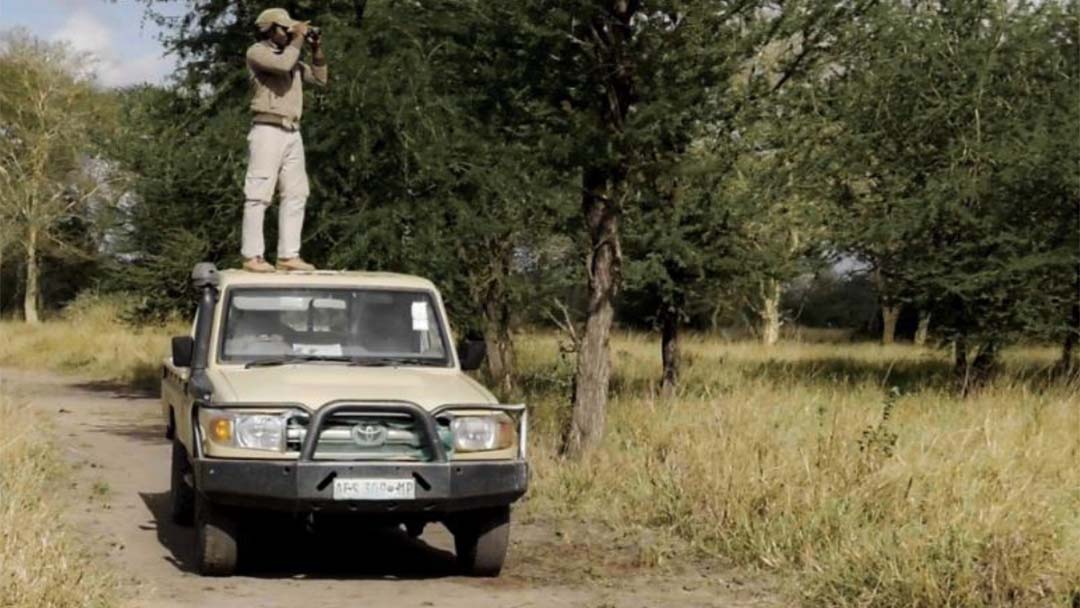 Victor Américo in the field counting impalas.