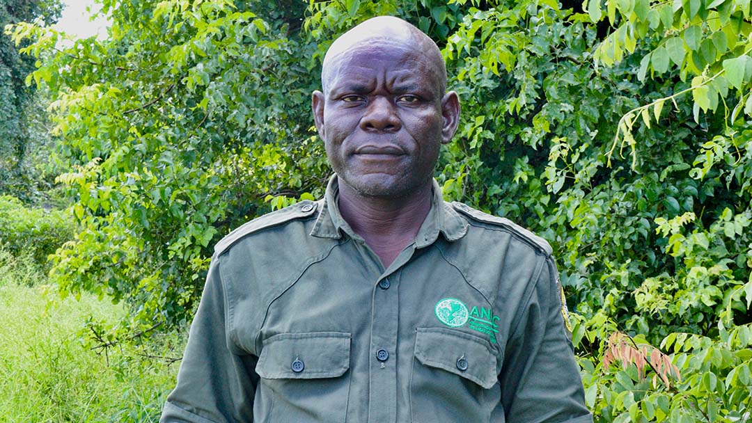 Jorge Nginga, Gorongosa