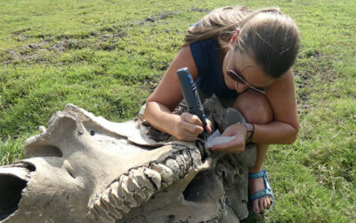 Tina Lüdecke, (Geochemist for the Paleo-Primate  Project Gorongosa) wins a German Research  Foundation grant.