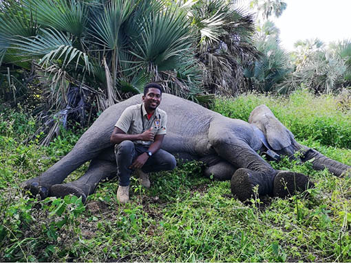 Dr Yane Nerantzoulis, Gorongosa National Park