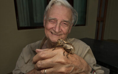 E.O. Wilson (1929 – 2021) – A Tribute