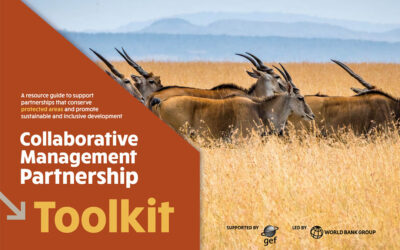 World Bank Toolkit