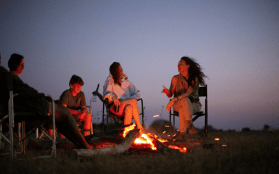 A closer look at Wild Camp Gorongosa.