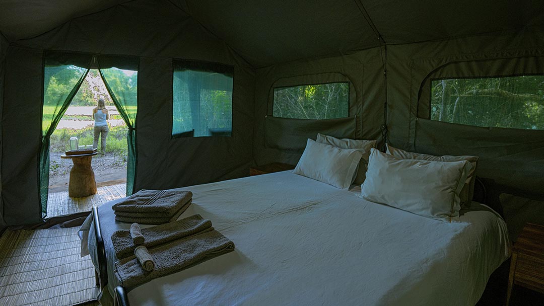 Gorongosa Wild Camp Accommodation