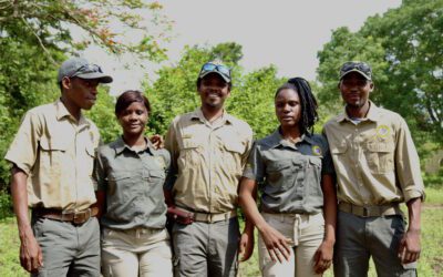 Gorongosa Park adds tour guides for 2023 tourism season.