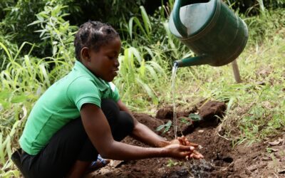 Healthy forests, healthy people.