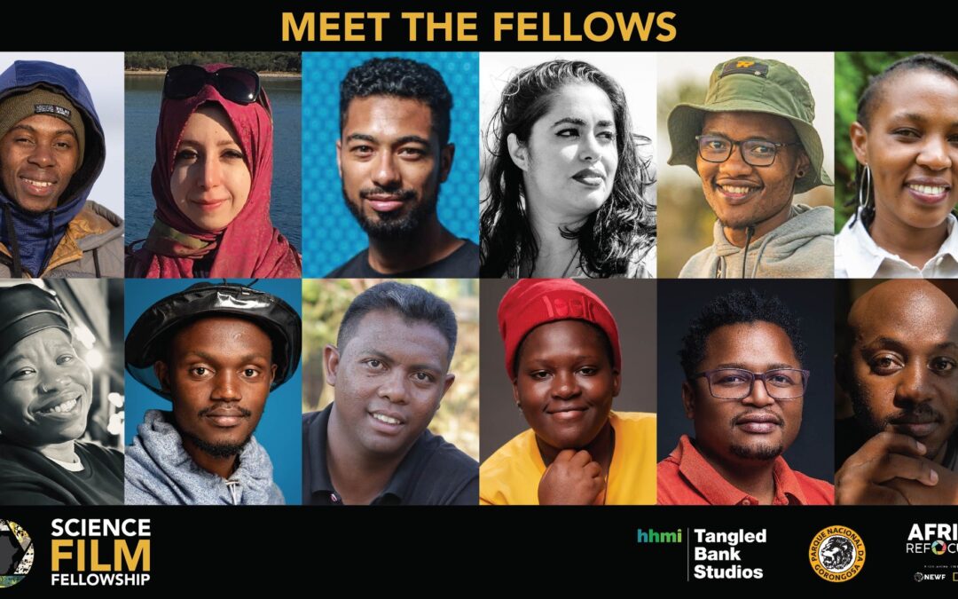 12 Fellows selected for NEWF Science Film Fellowship.