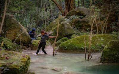 Cheringoma Plateau becomes Community Conservation Area