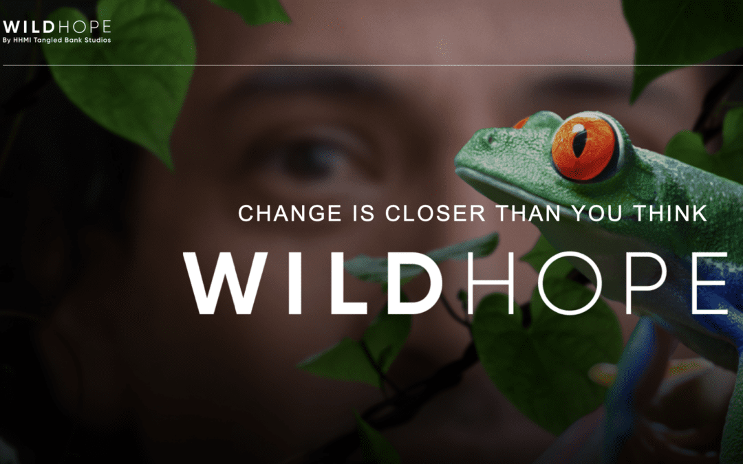 Wild Hope series features Gorongosa National Park
