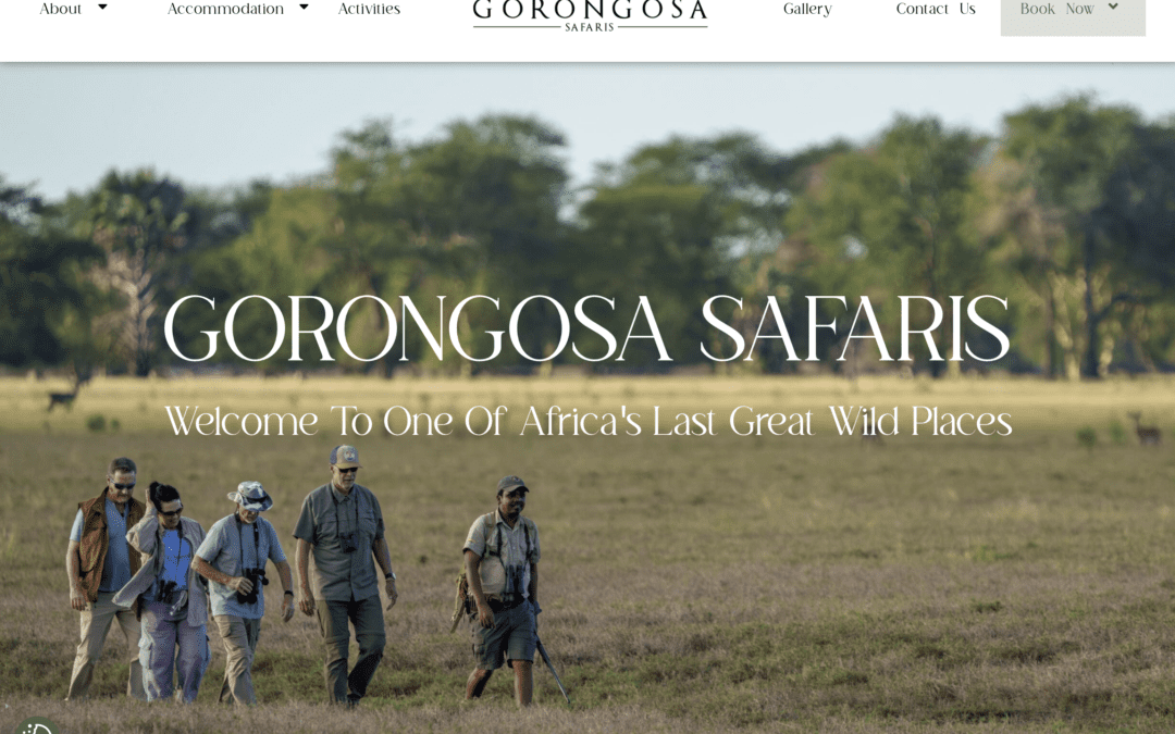 Discover Gorongosa Safaris: A new website, an exclusive 20% discount and a luxury safari giveaway.
