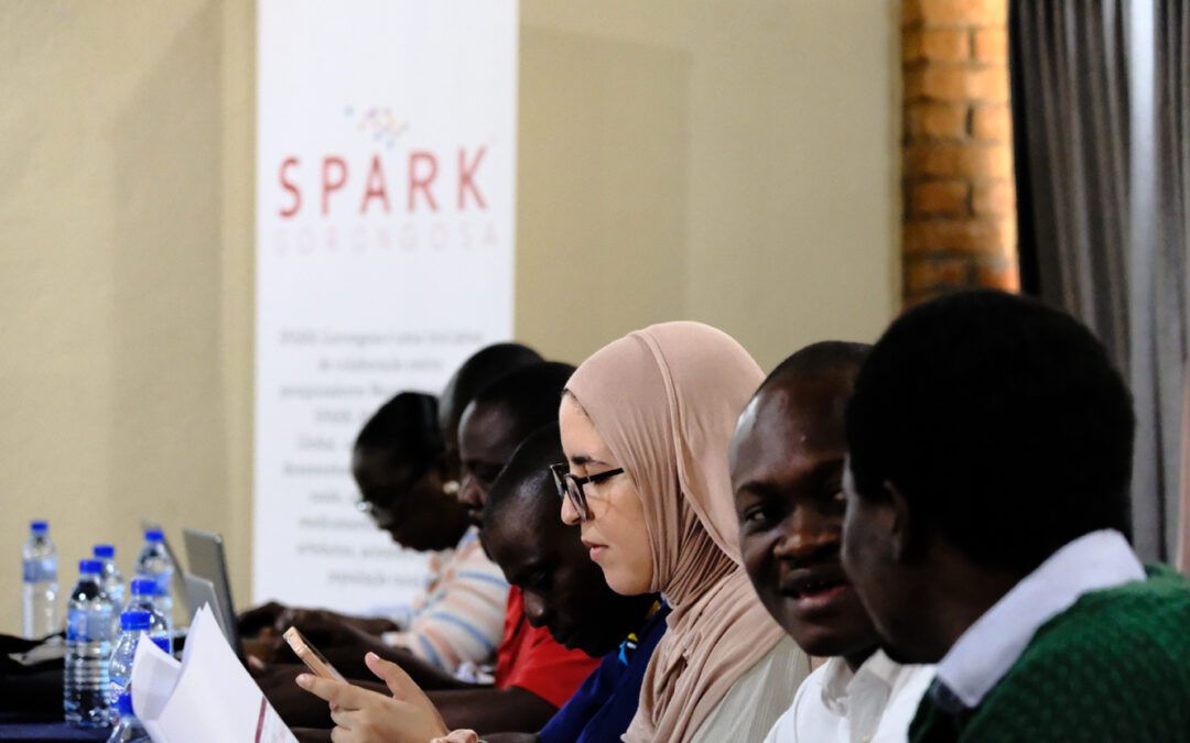 Filling gaps in rural healthcare: SPARK’s Mission in Mozambique.