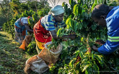 Celebrating ‘A Nossa Gorongosa’ and the farmers who make it possible.