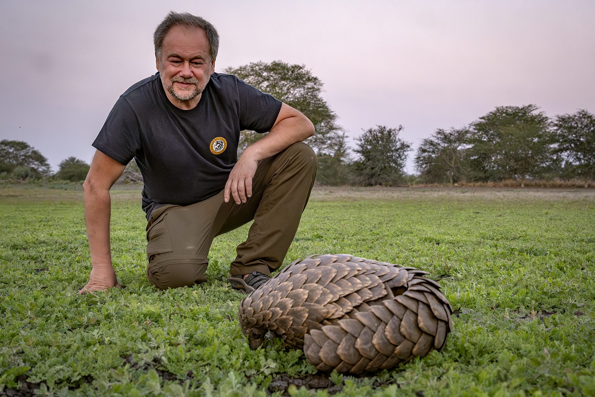 Piotr Naskreck, Director of the EO Wilson Lab at Gorongosa National Park, views a pangolin