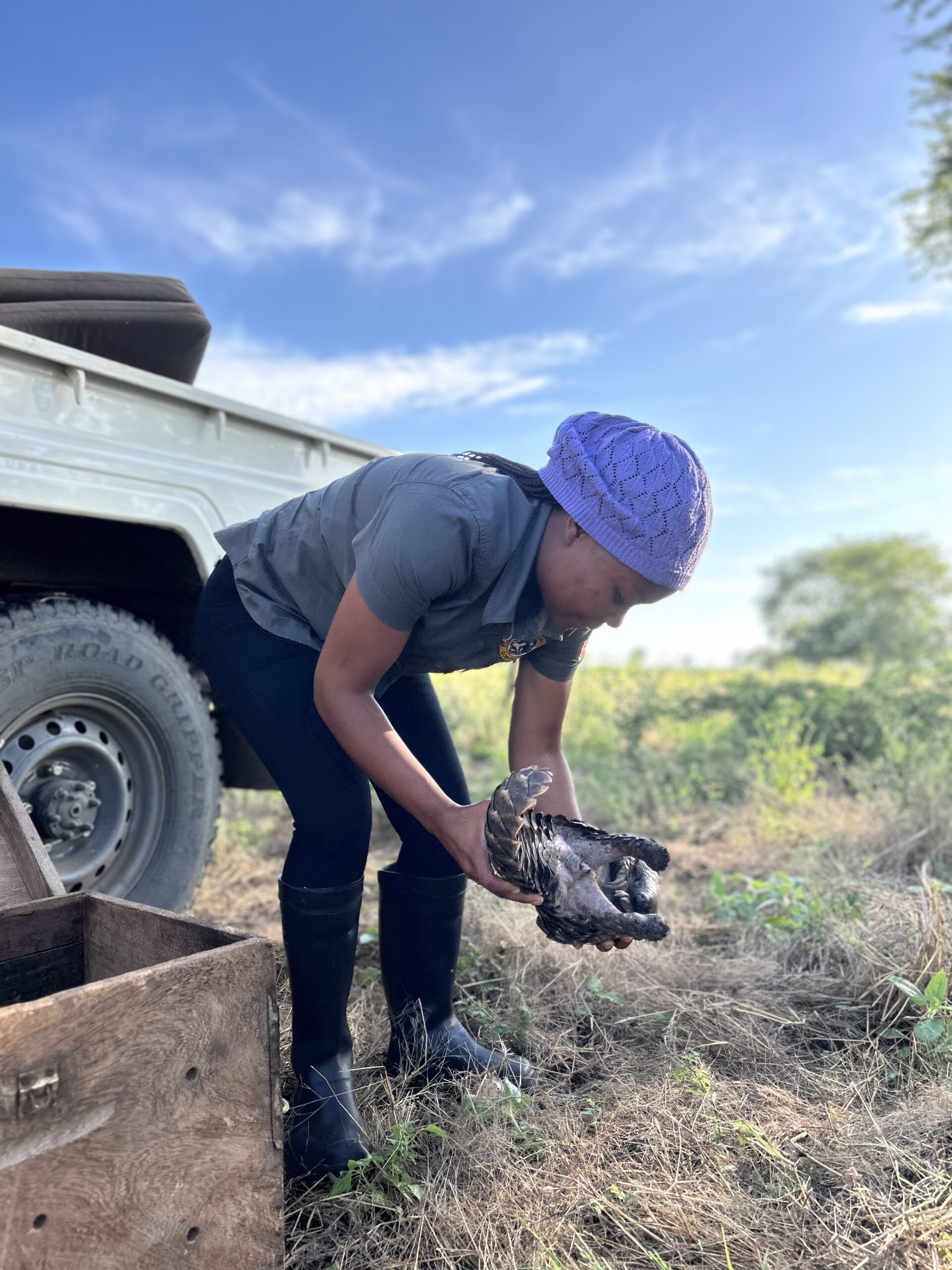 IMG_6374_Larissa Sousa Mercia Angela releases a pangolin in Gorongosa National Park, Mozambique