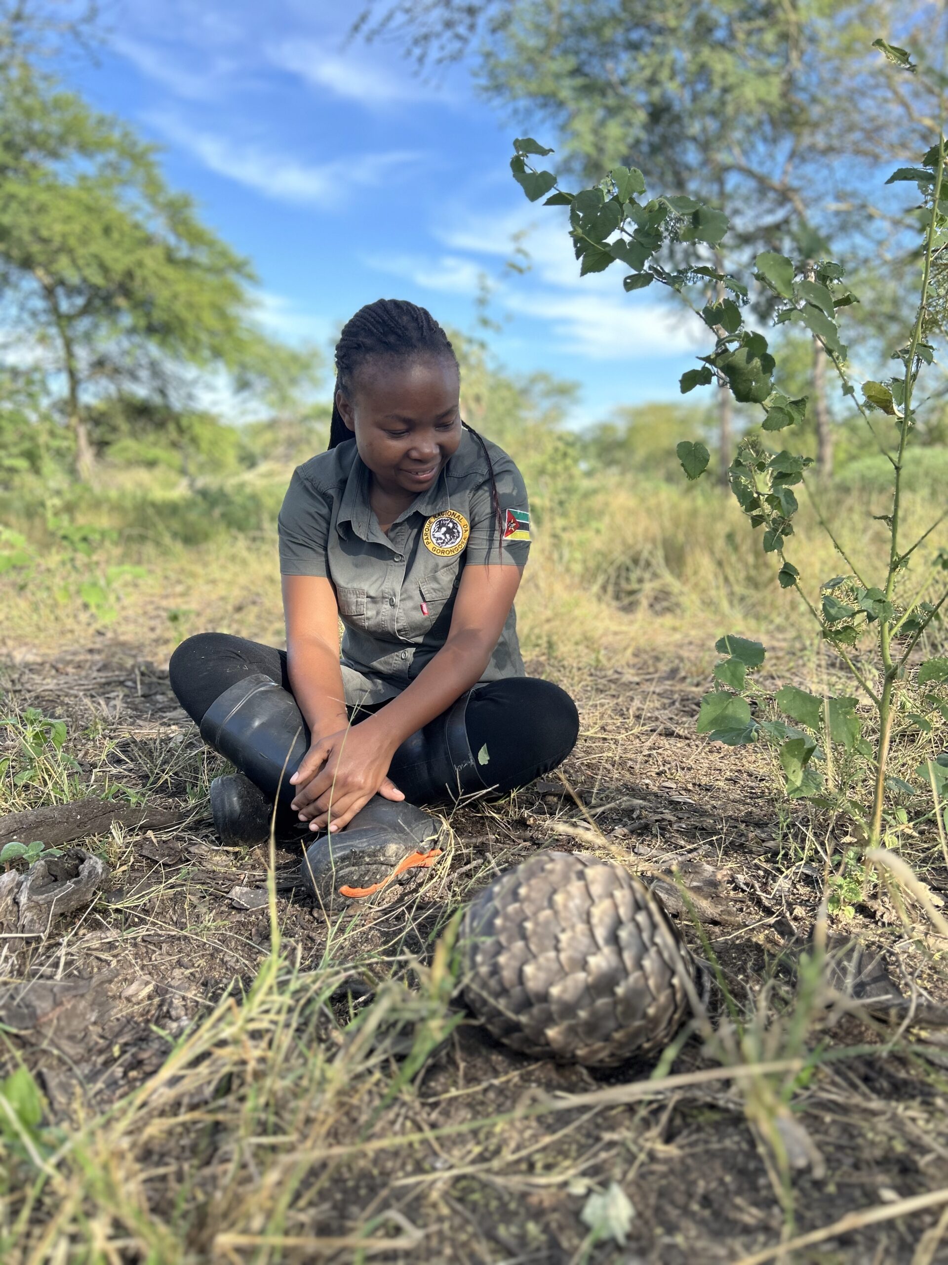 IMG_6395_Larissa Sousa Mercia Angela with pangolin in Gorongosa National Park, Mozambique