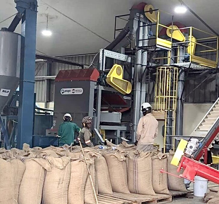 Bringing added value closer to home with Gorongosa’s new coffee factory.